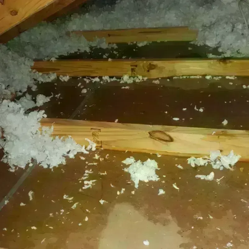 Attic Water Damage in Perry, OK