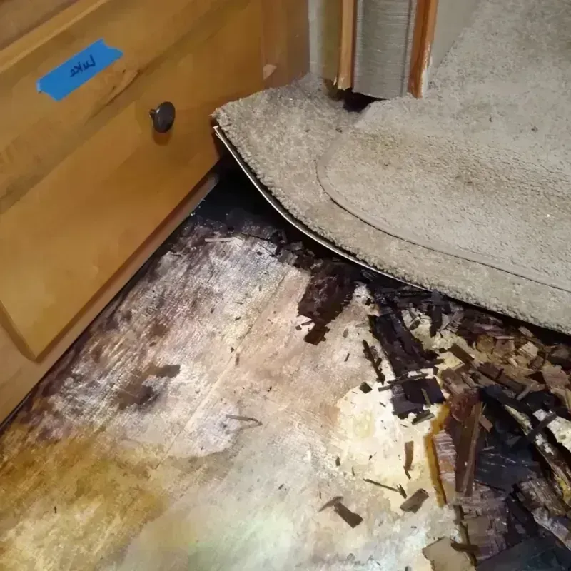 Wood Floor Water Damage in Perry, OK